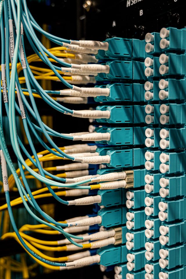 Networking Cables photo by Brett Sayles